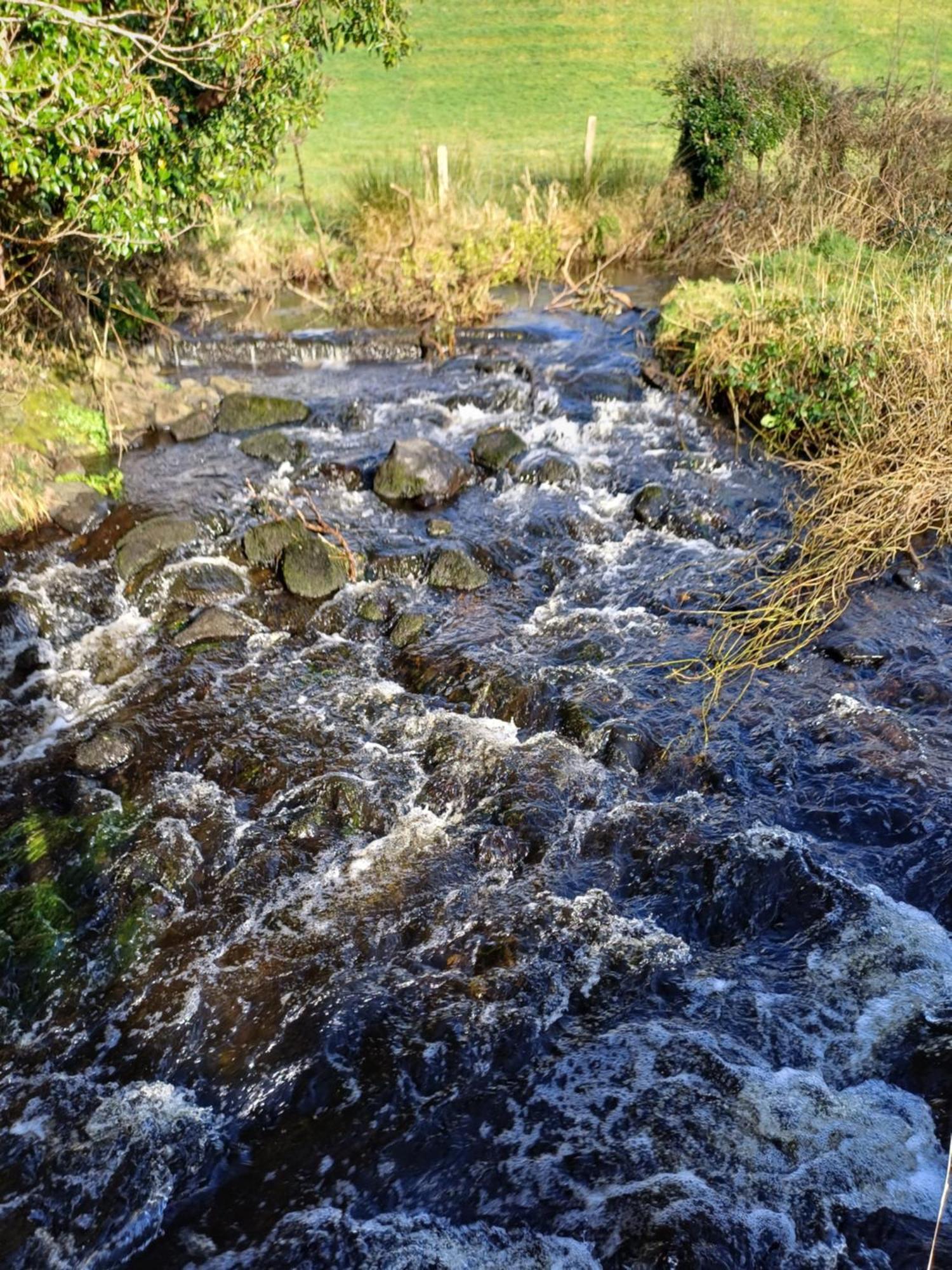 Little River Glamping Ballymoney Exterior photo