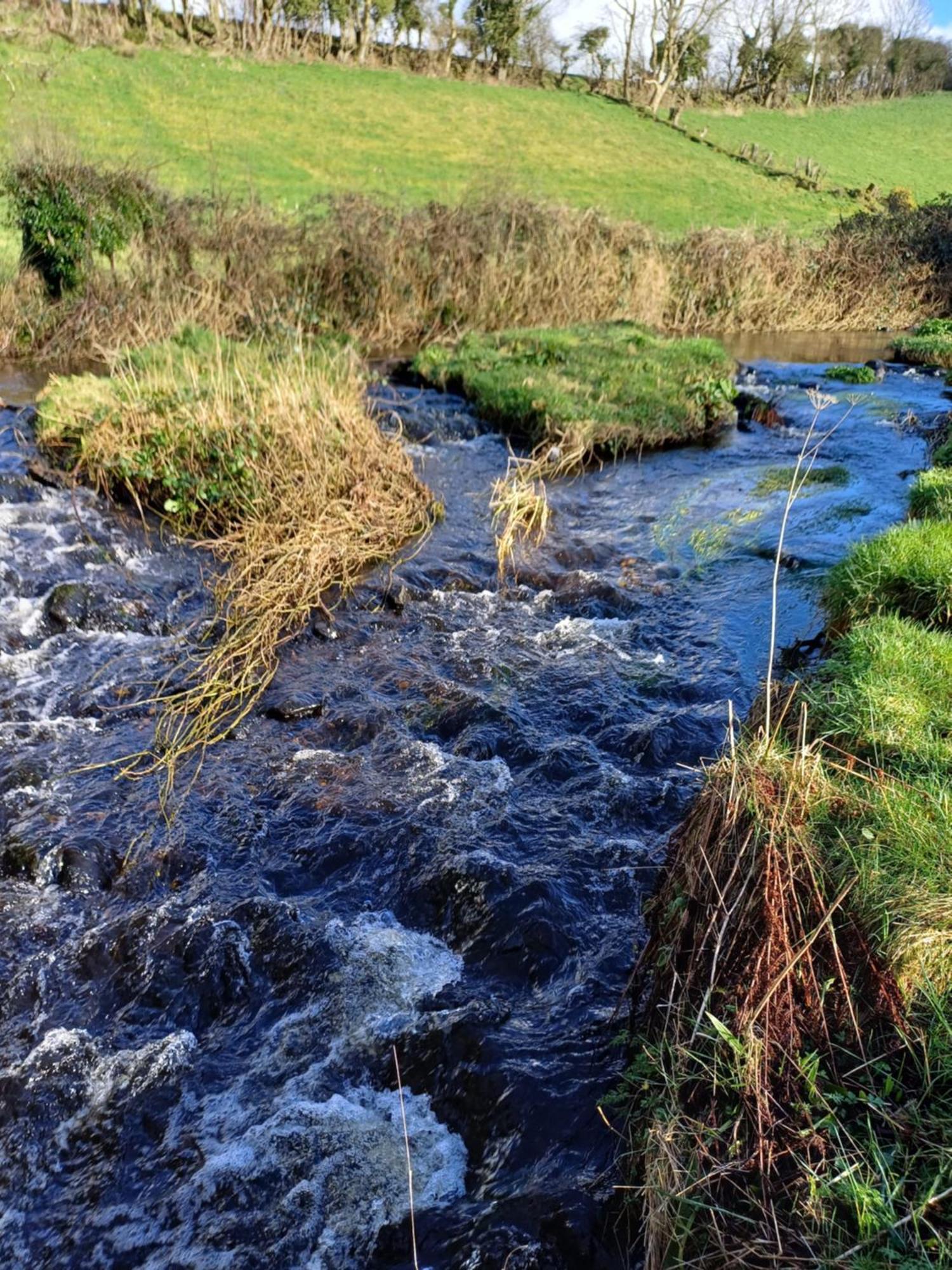 Little River Glamping Ballymoney Exterior photo