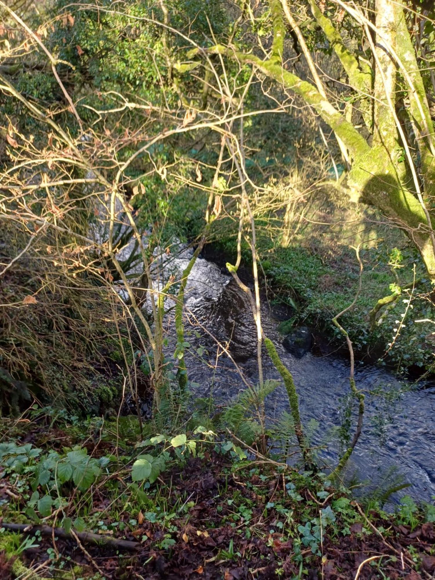Little River Glamping Ballymoney Exterior photo
