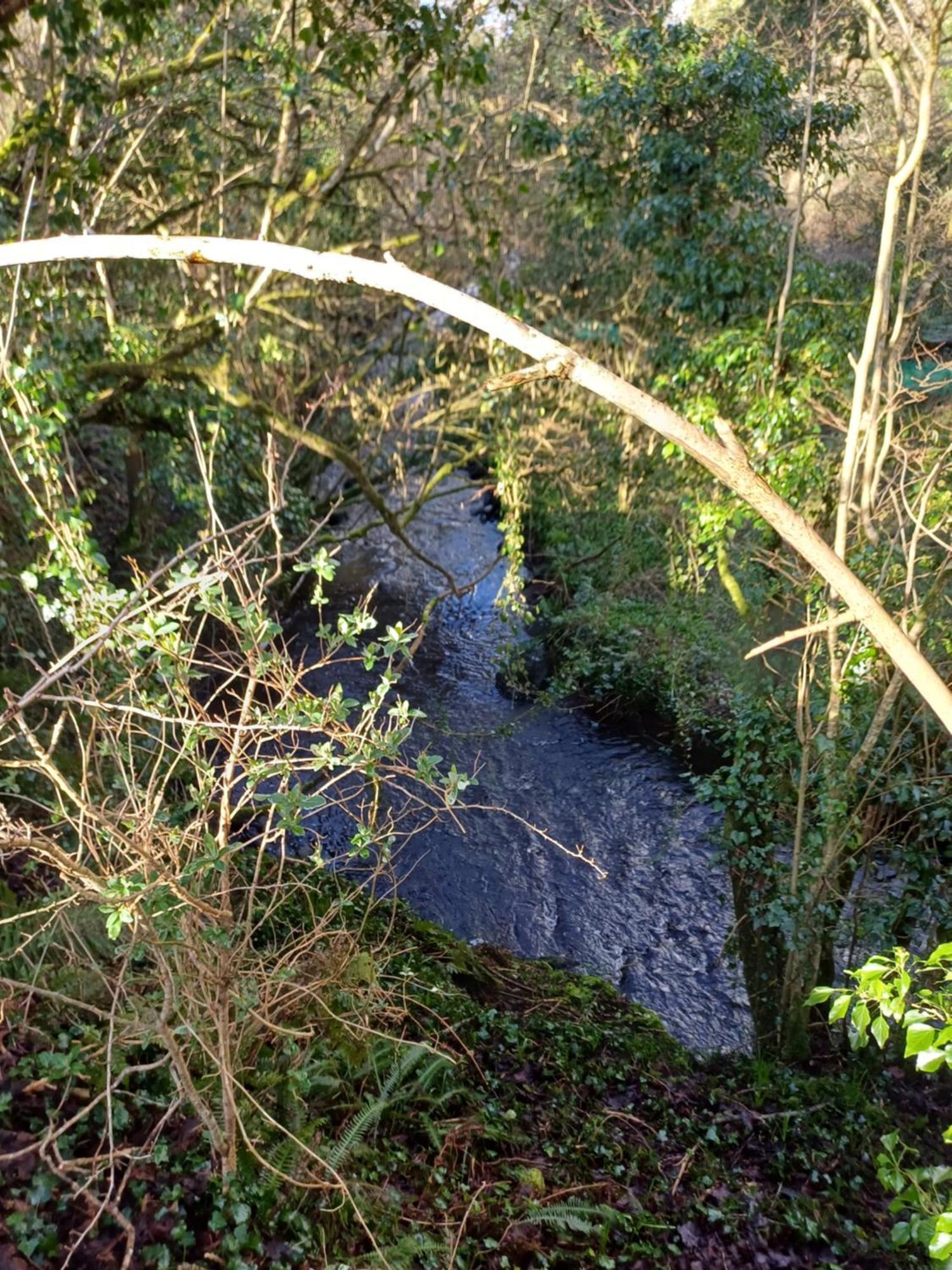 Little River Glamping Ballymoney Exterior photo
