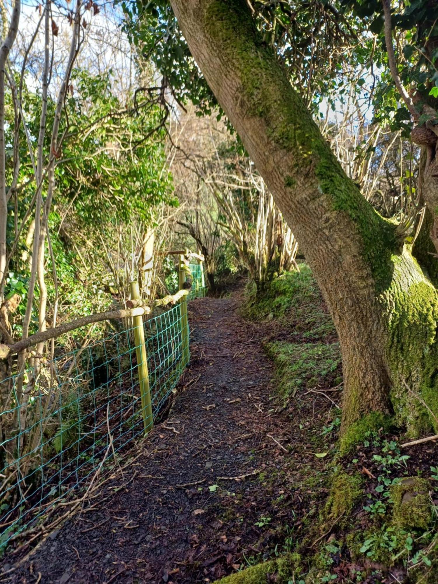 Little River Glamping Ballymoney Exterior photo